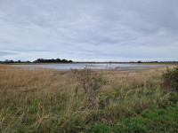 Ochsenbrunnenlacke and Birnbaumlacke